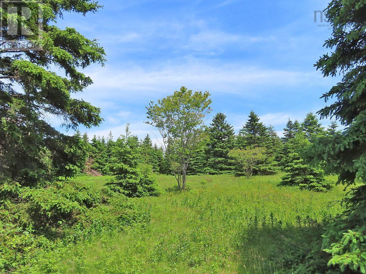9.9 Acres Grand Greve Road Property Photo 11