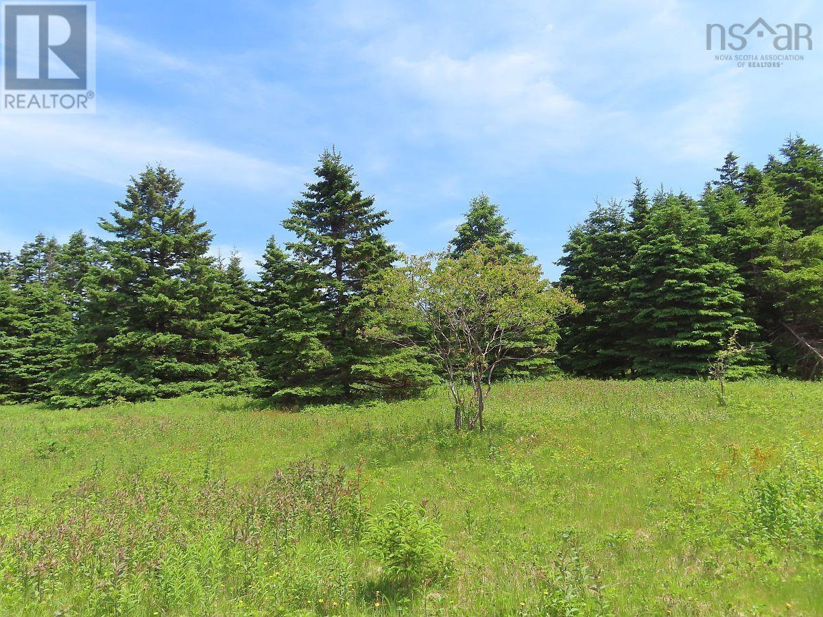 9.9 Acres Grand Greve Road Property Photo 12