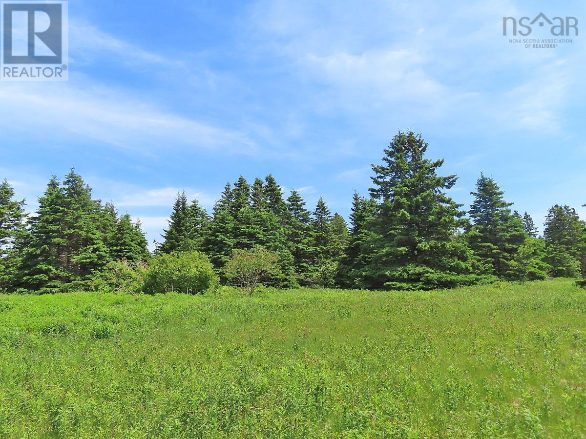 9.9 Acres Grand Greve Road Property Photo 13