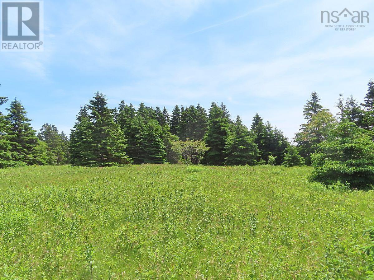 9.9 Acres Grand Greve Road Property Photo 14