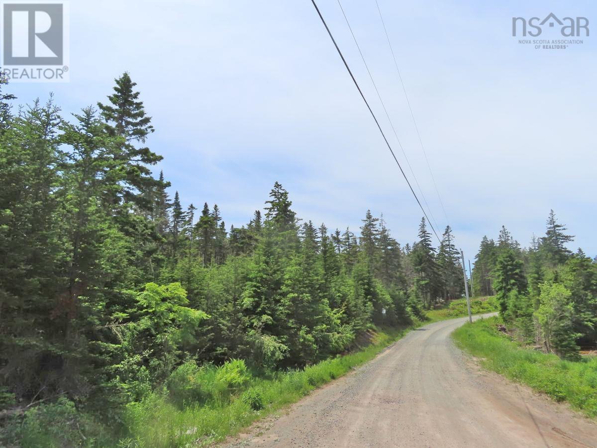 9.9 Acres Grand Greve Road Property Photo 16