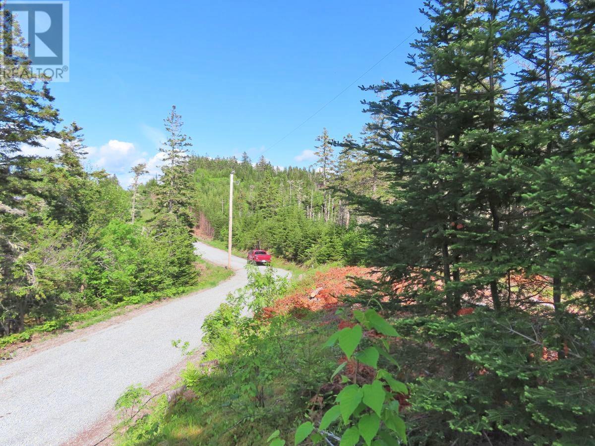 9.9 Acres Grand Greve Road Property Photo 17