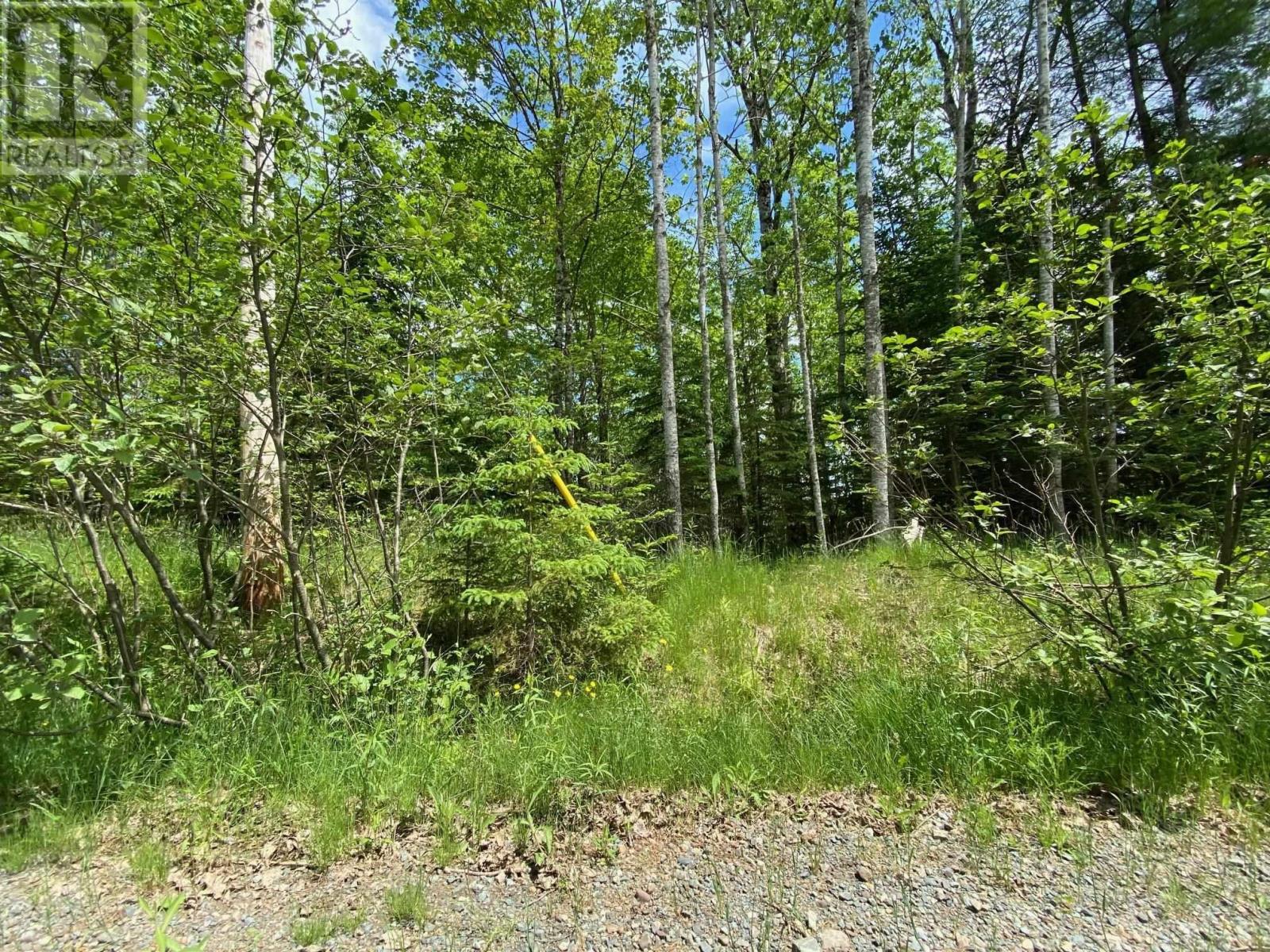 Lot 2 Butler Road Property Photo 2