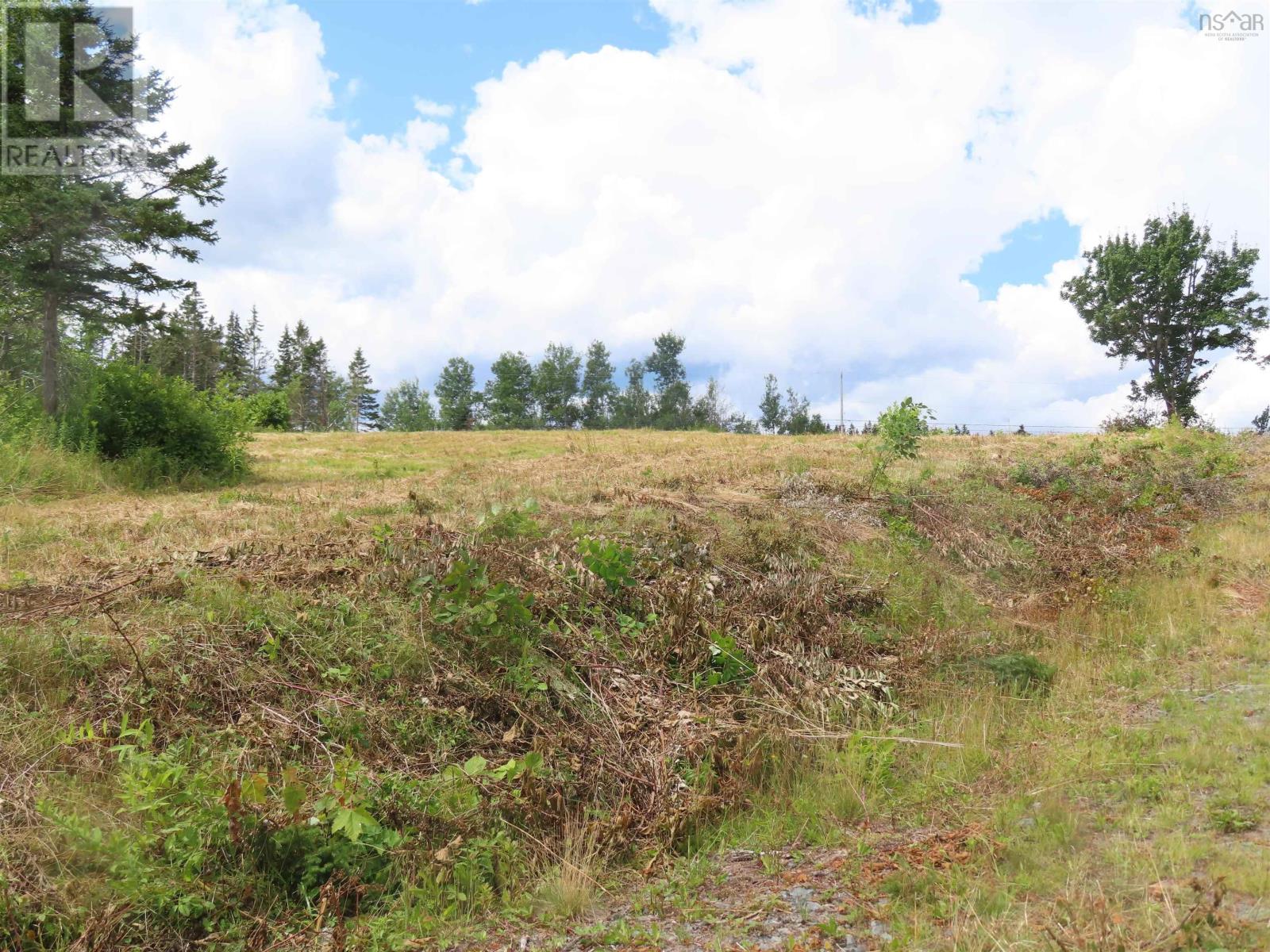 Hwy 337 Morristown Property Photo 16