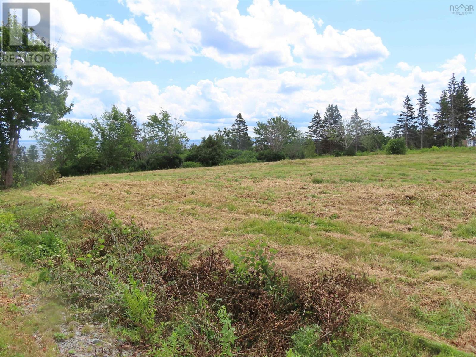 Hwy 337 Morristown Property Photo 17
