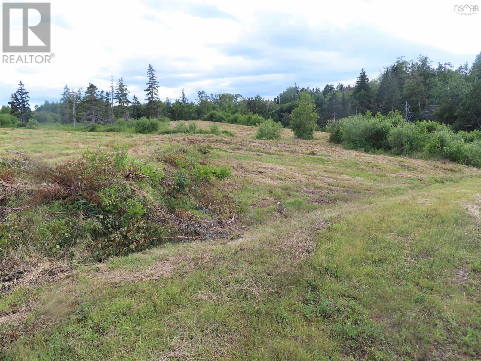 Hwy 337 Morristown Property Photo 22