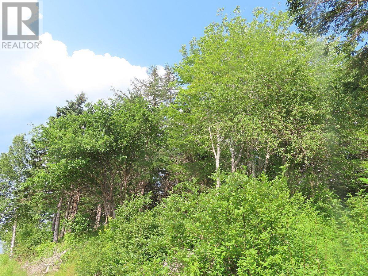 2018-34y Evanston Road, Stephen Augustin Dr Property Photo 16
