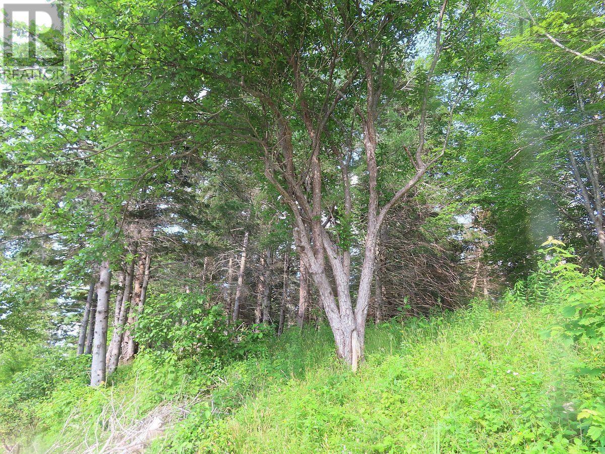 2018-34y Evanston Road, Stephen Augustin Dr Property Photo 17