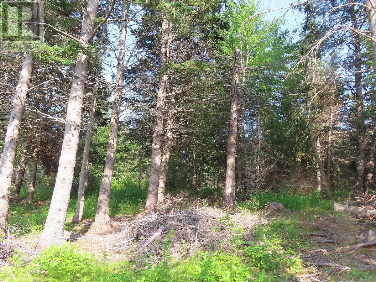2018-34y Evanston Road, Stephen Augustin Dr Property Photo 19
