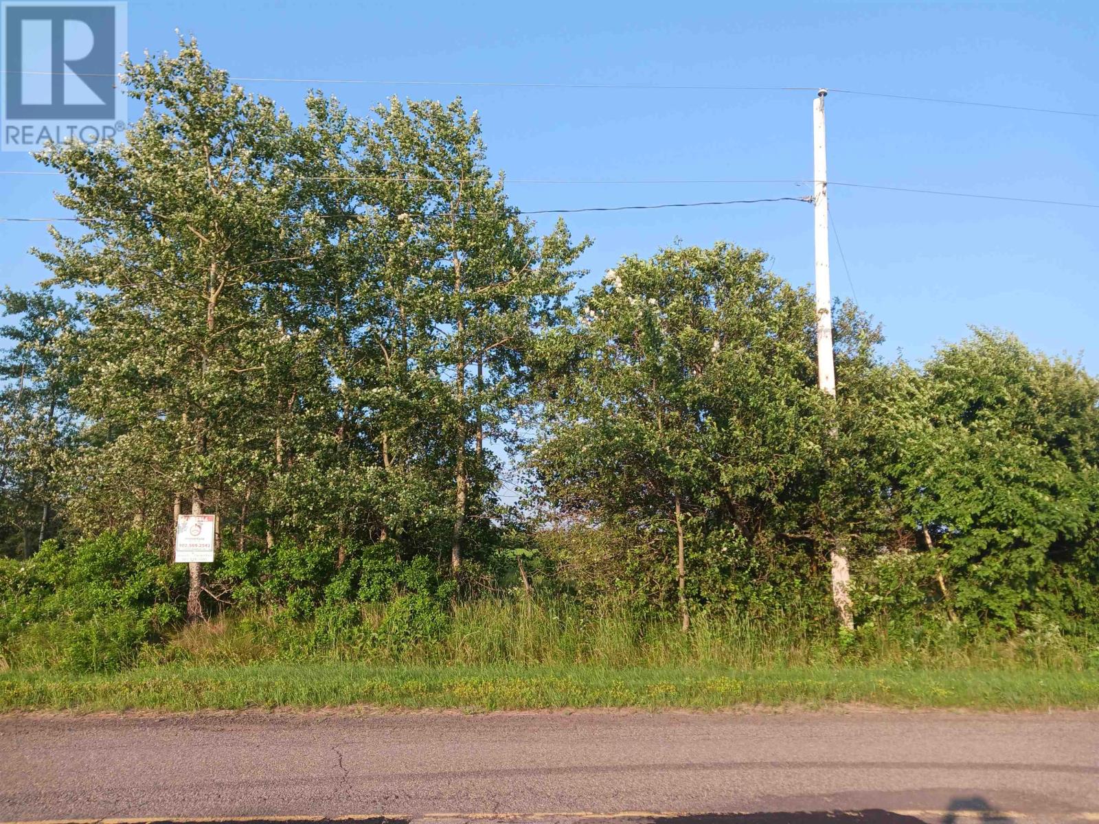 Rte 306 New Zealand Road Property Photo 2