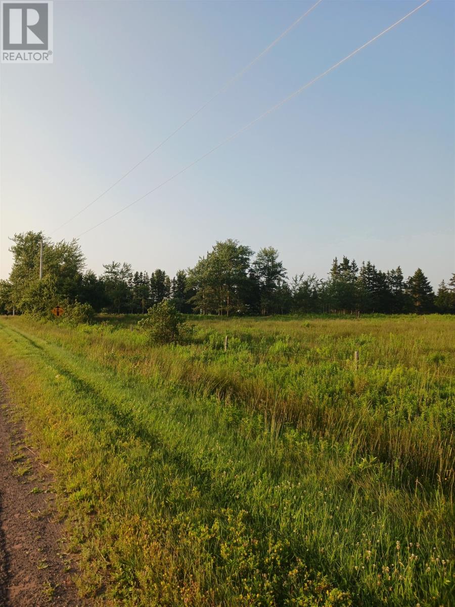 Rte 306 New Zealand Road Property Photo 4