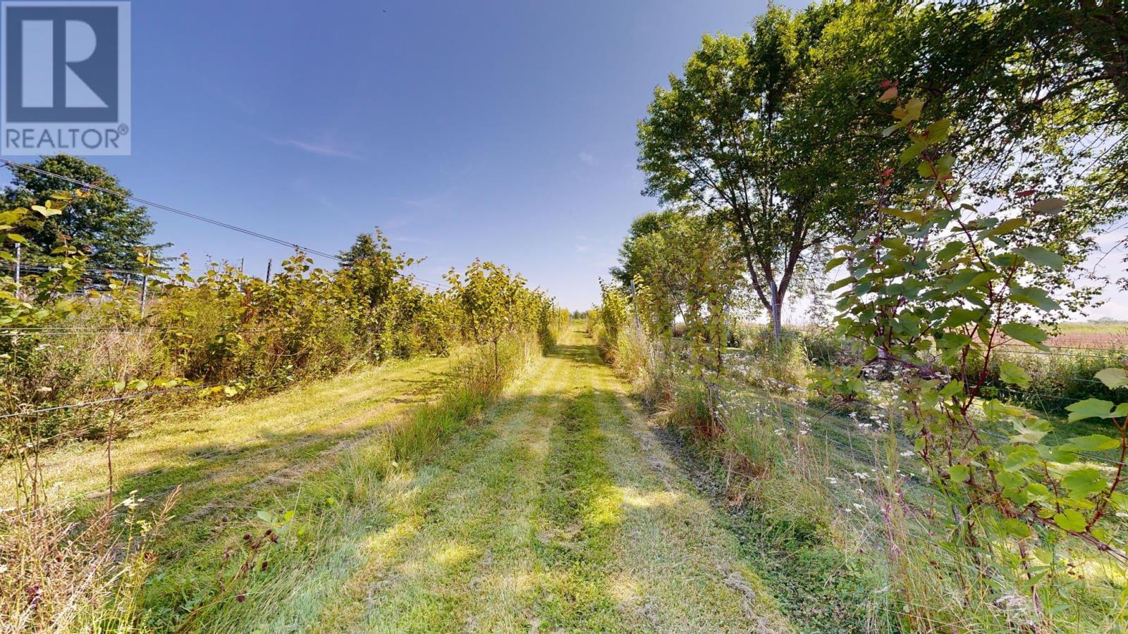 115 Magee Road Property Photo 48