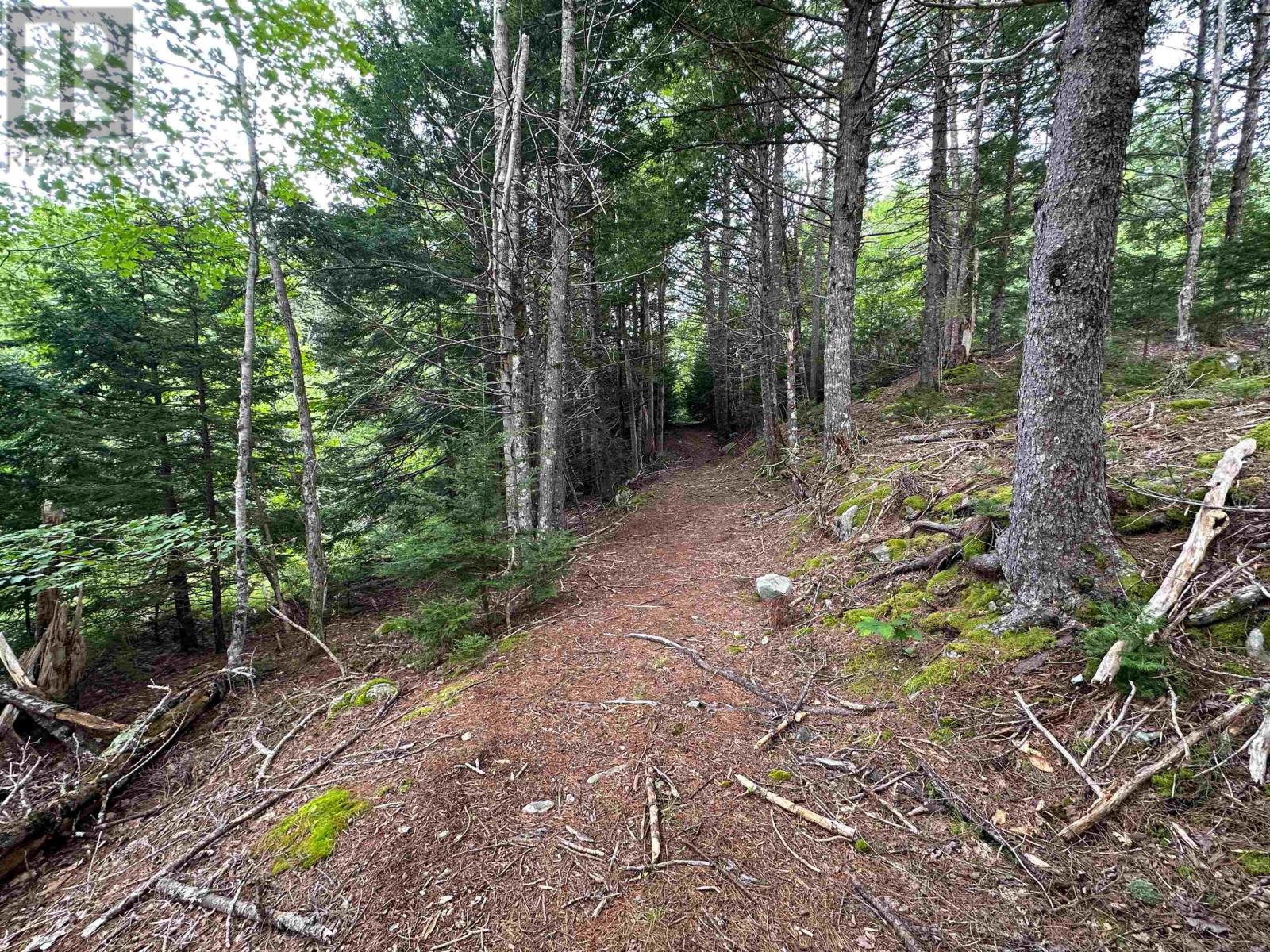 Lot Narrows Road Property Photo 9