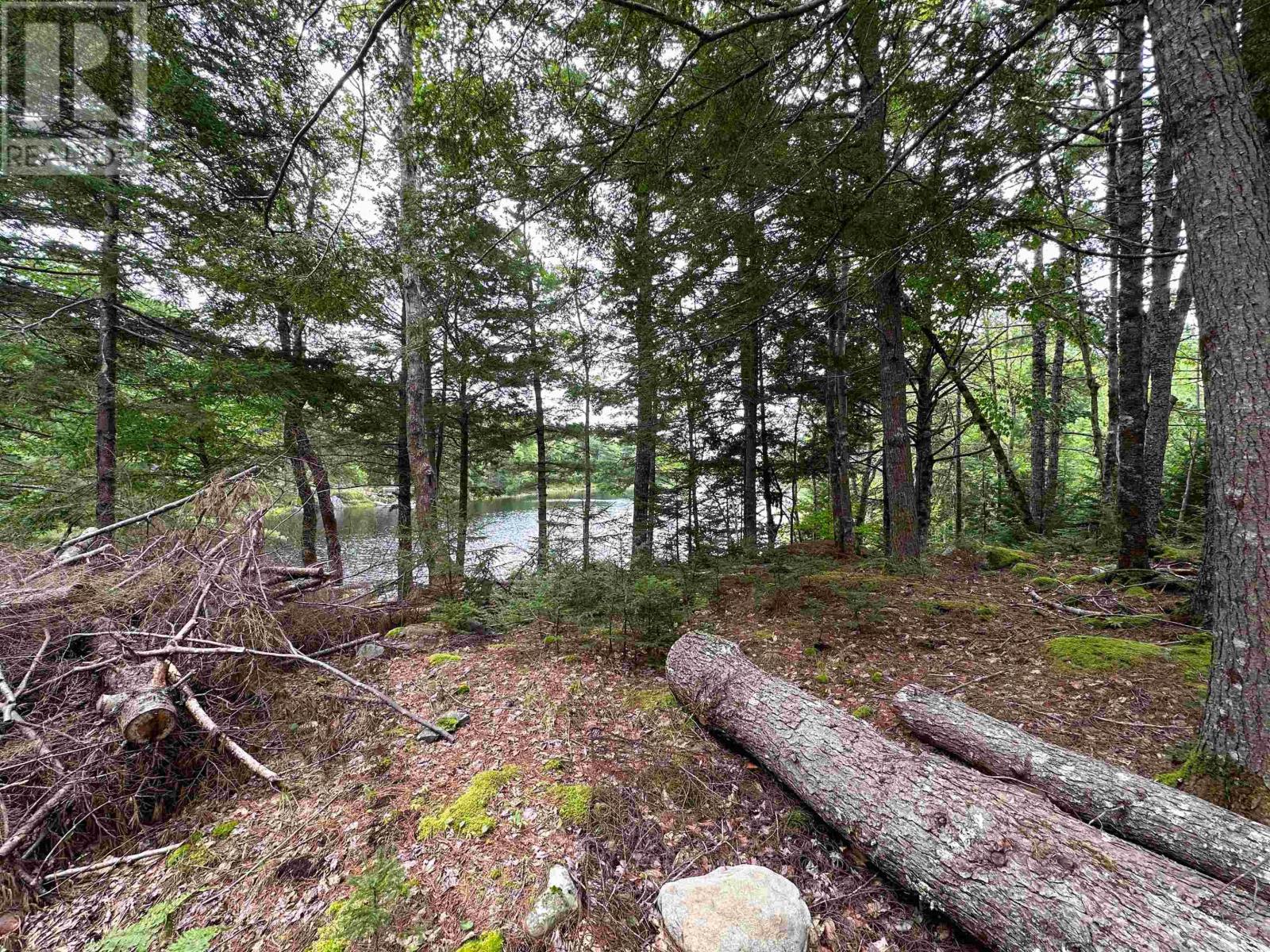 Lot Narrows Road Property Photo 10