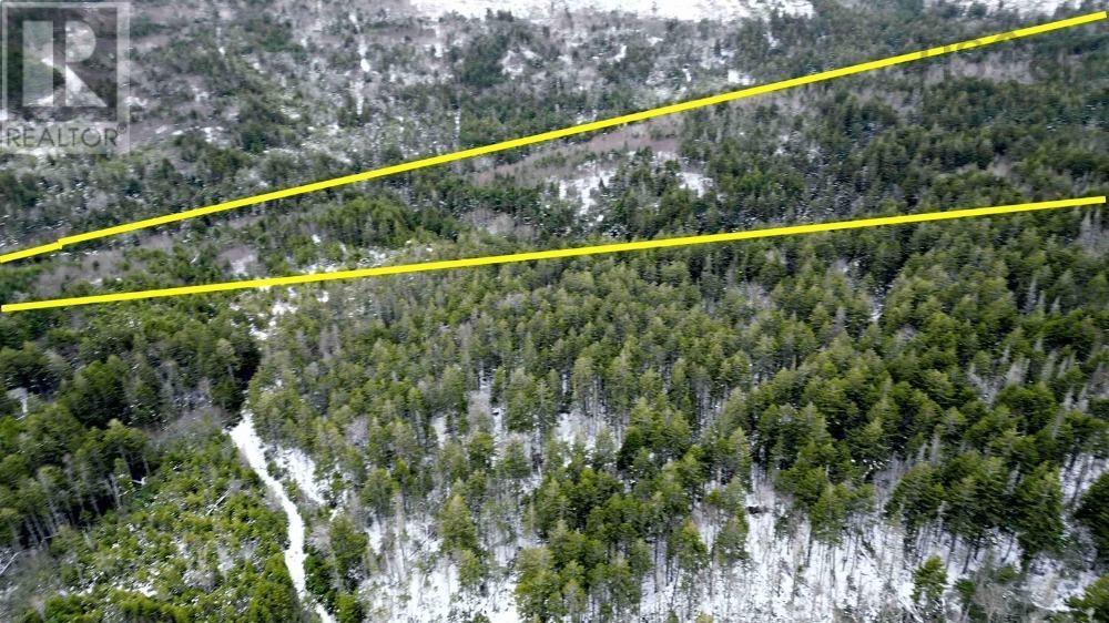 Highway 209 Property Photo 3