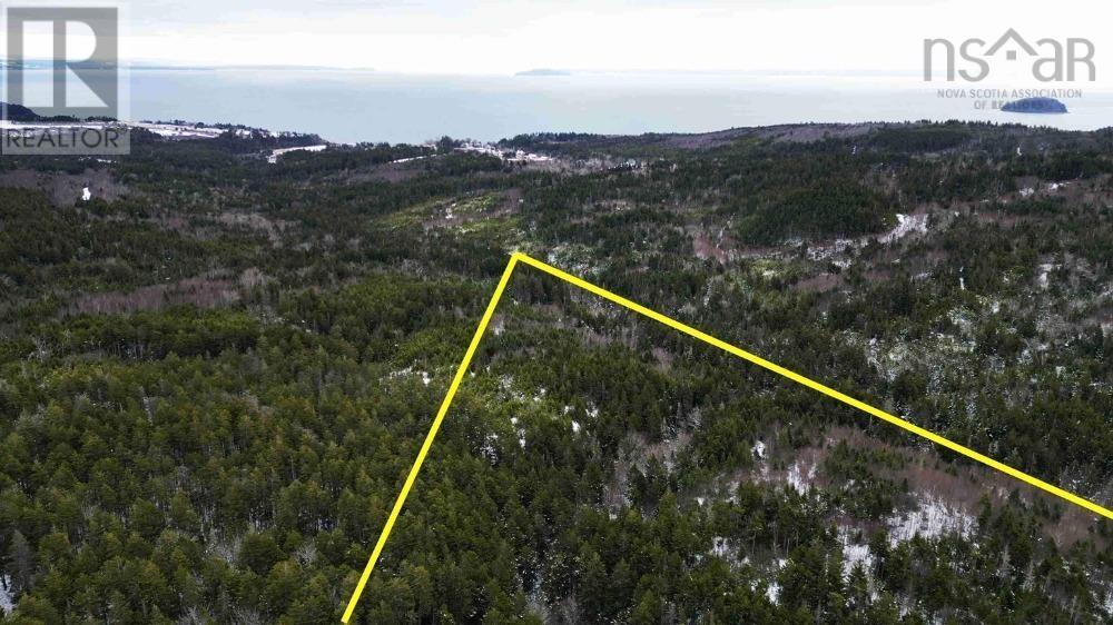 Highway 209 Property Photo 4