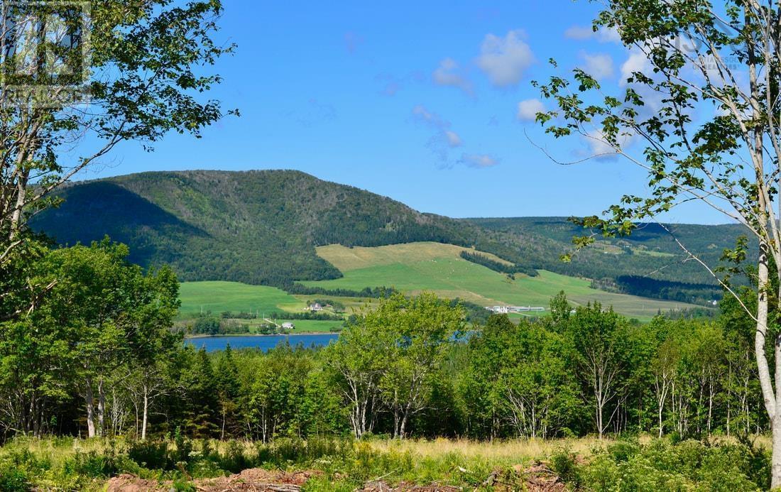Little Mabou Road Property Photo 9