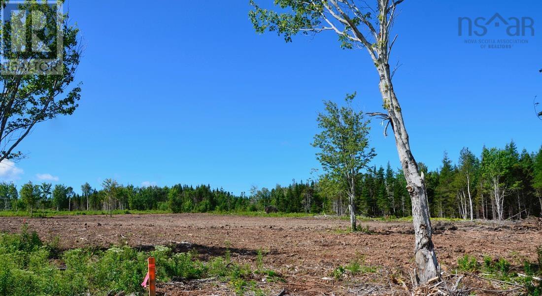 Little Mabou Road Property Photo 10
