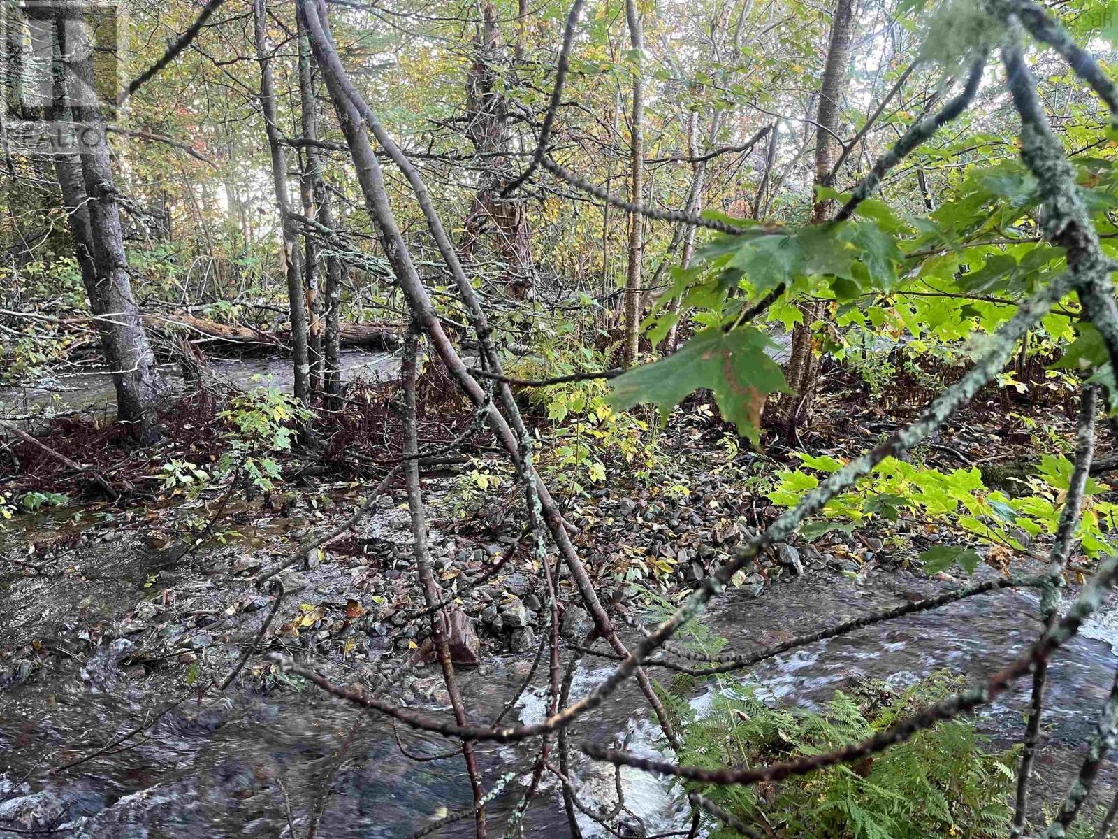 Lot Highway 4 Property Photo 8