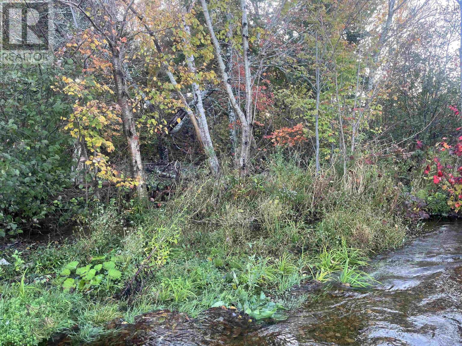 Lot Highway 4 Property Photo 12