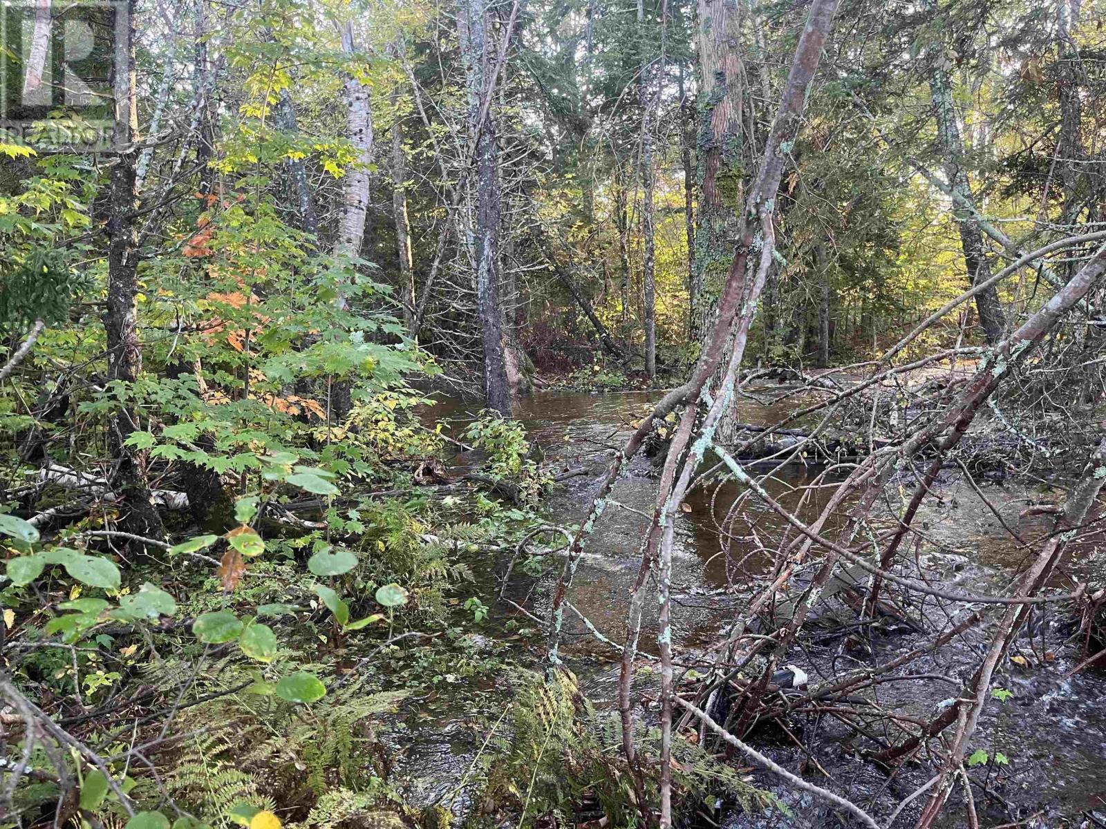 Lot Highway 4 Property Photo 13