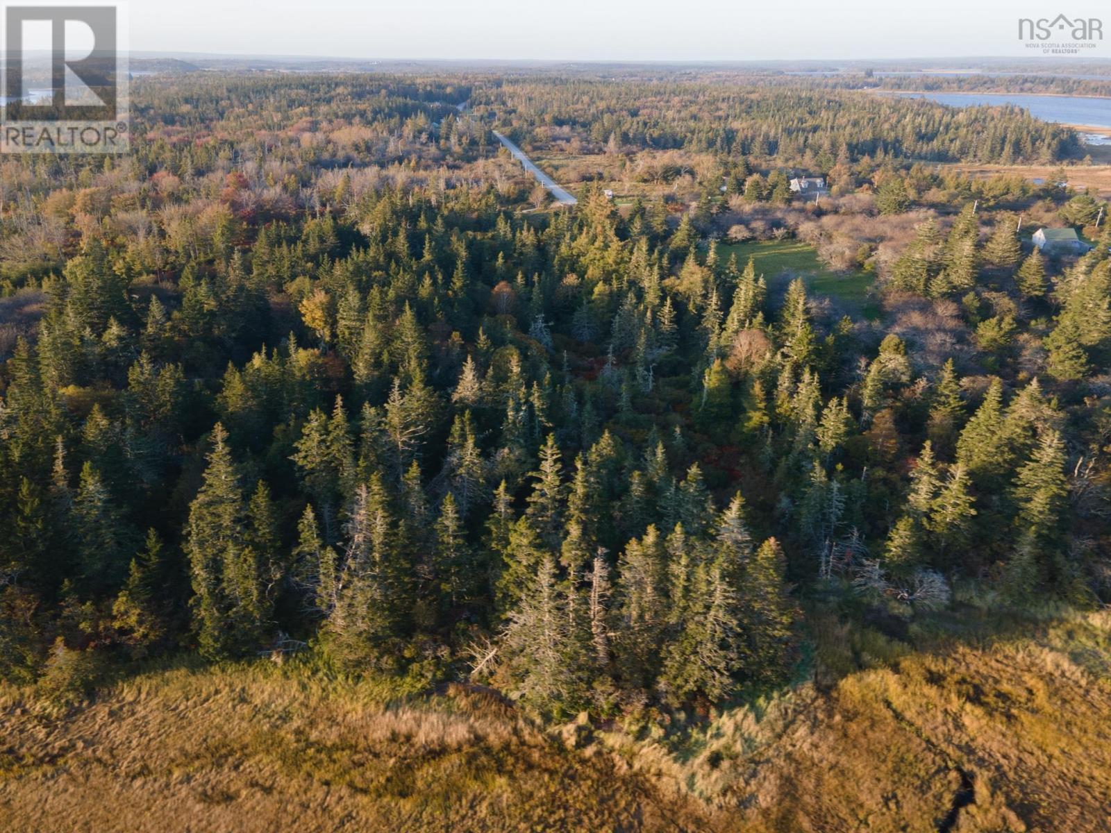 Lots Chemin Des Ben Property Photo 5