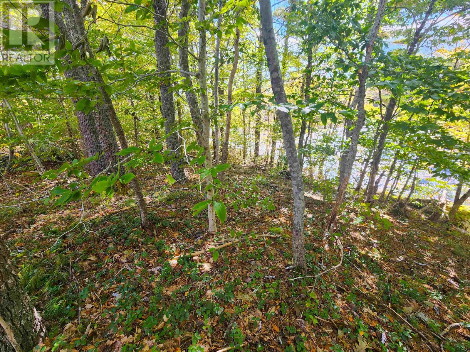 Murray Meadows Property Photo 11
