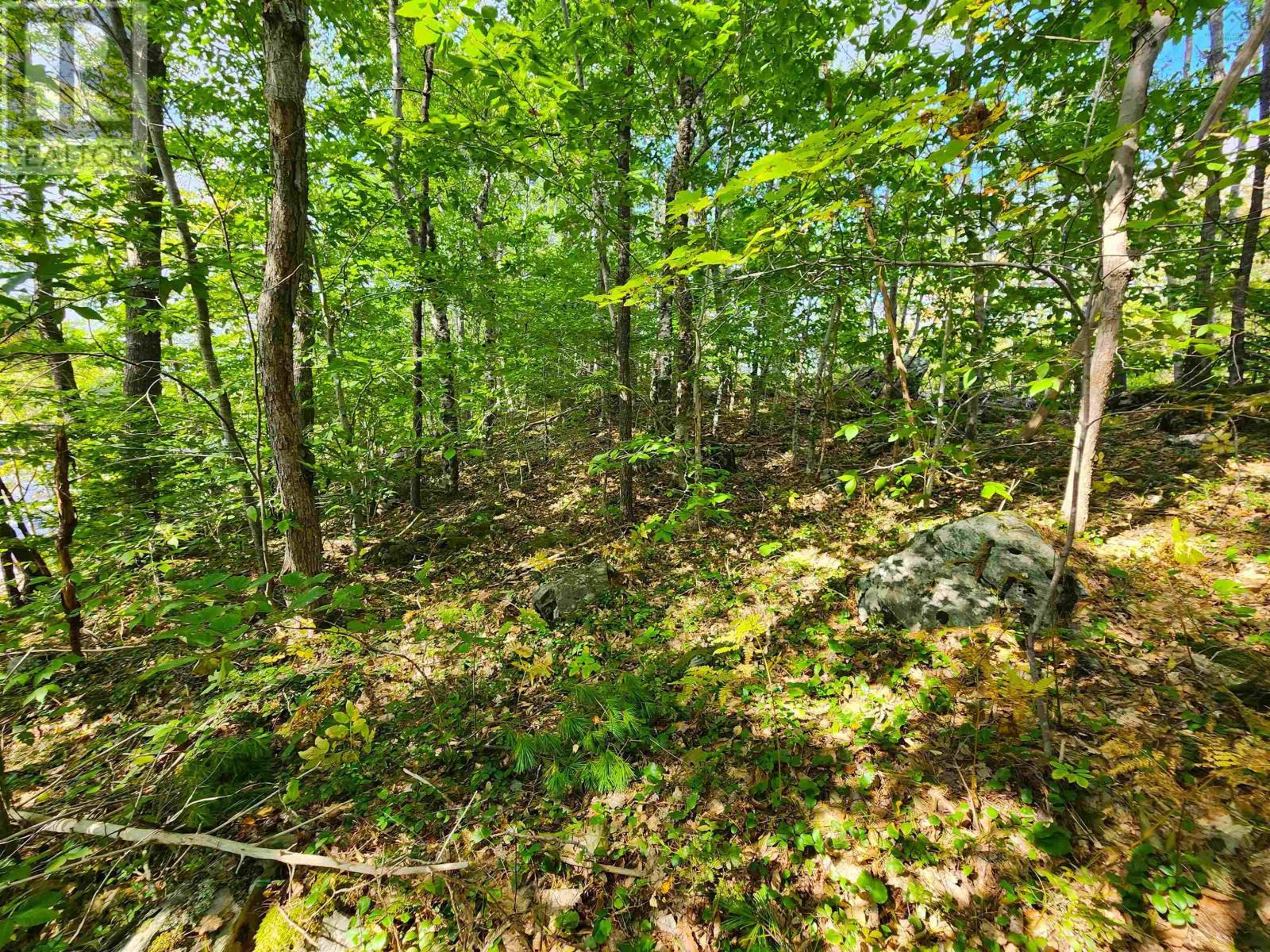 Murray Meadows Property Photo 18