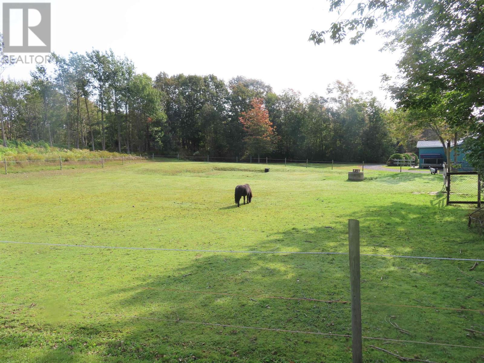 3653 Highway 316 Property Photo 26