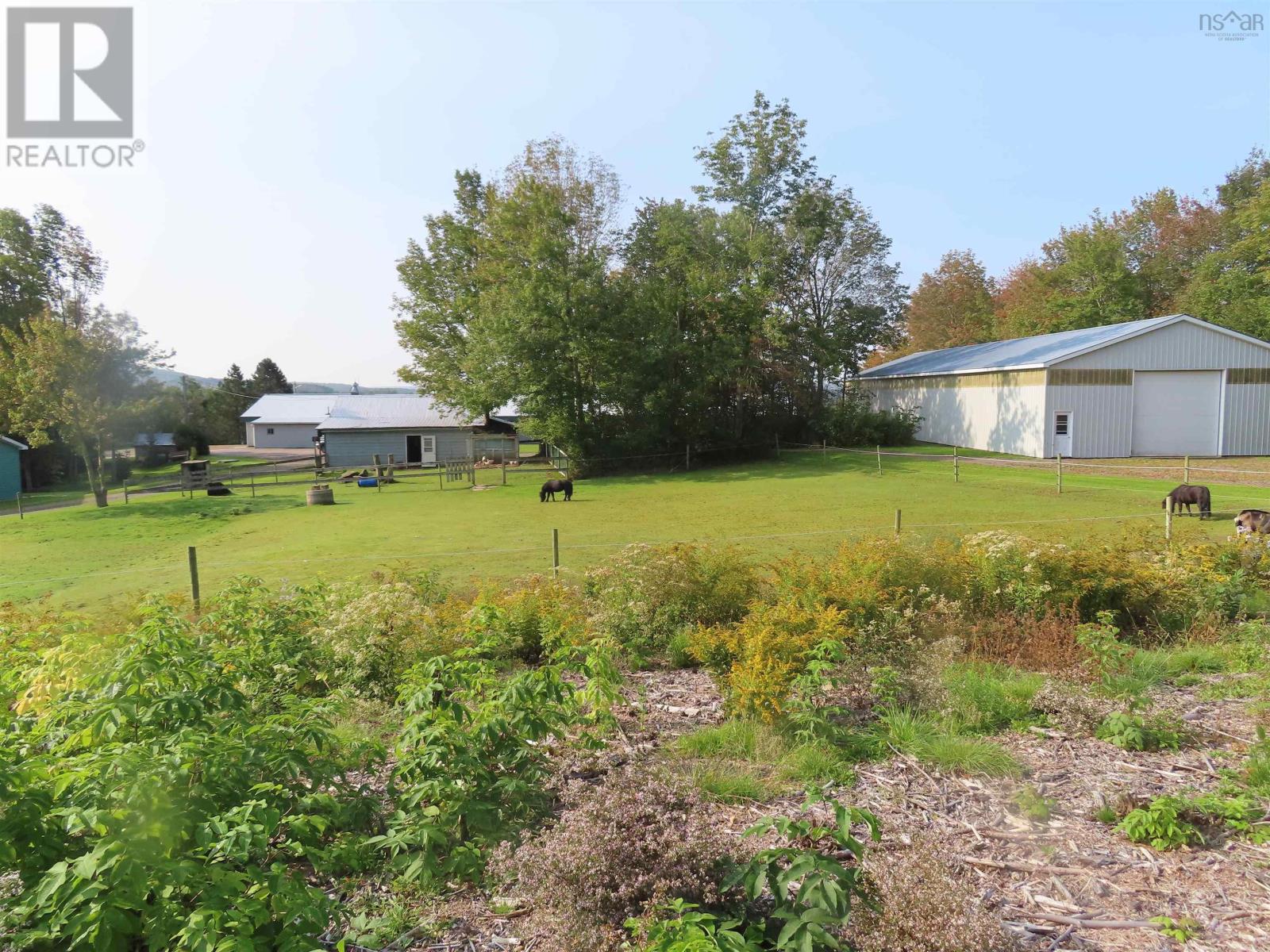 3653 Highway 316 Property Photo 28