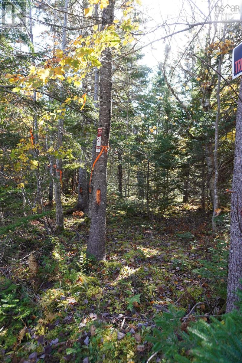 98-11 Salem Road, Gabe Macissac Dr Property Photo 17
