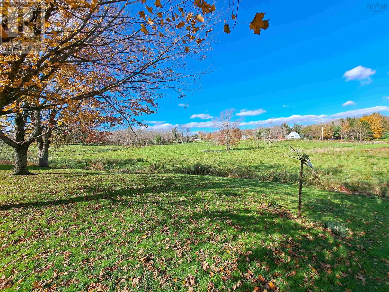 307 Lower Branch Road Property Photo 18