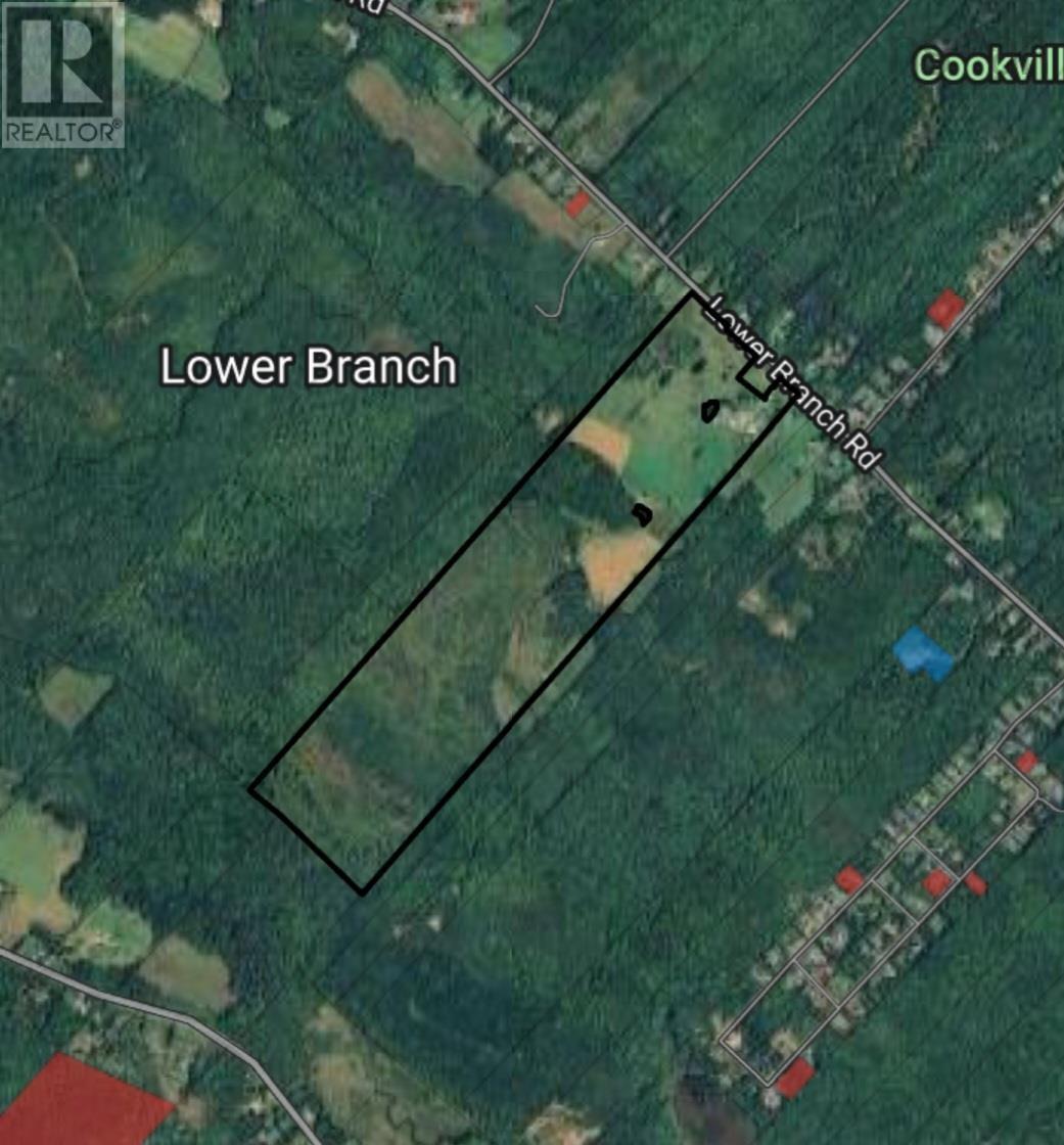 307 Lower Branch Road Property Photo 24