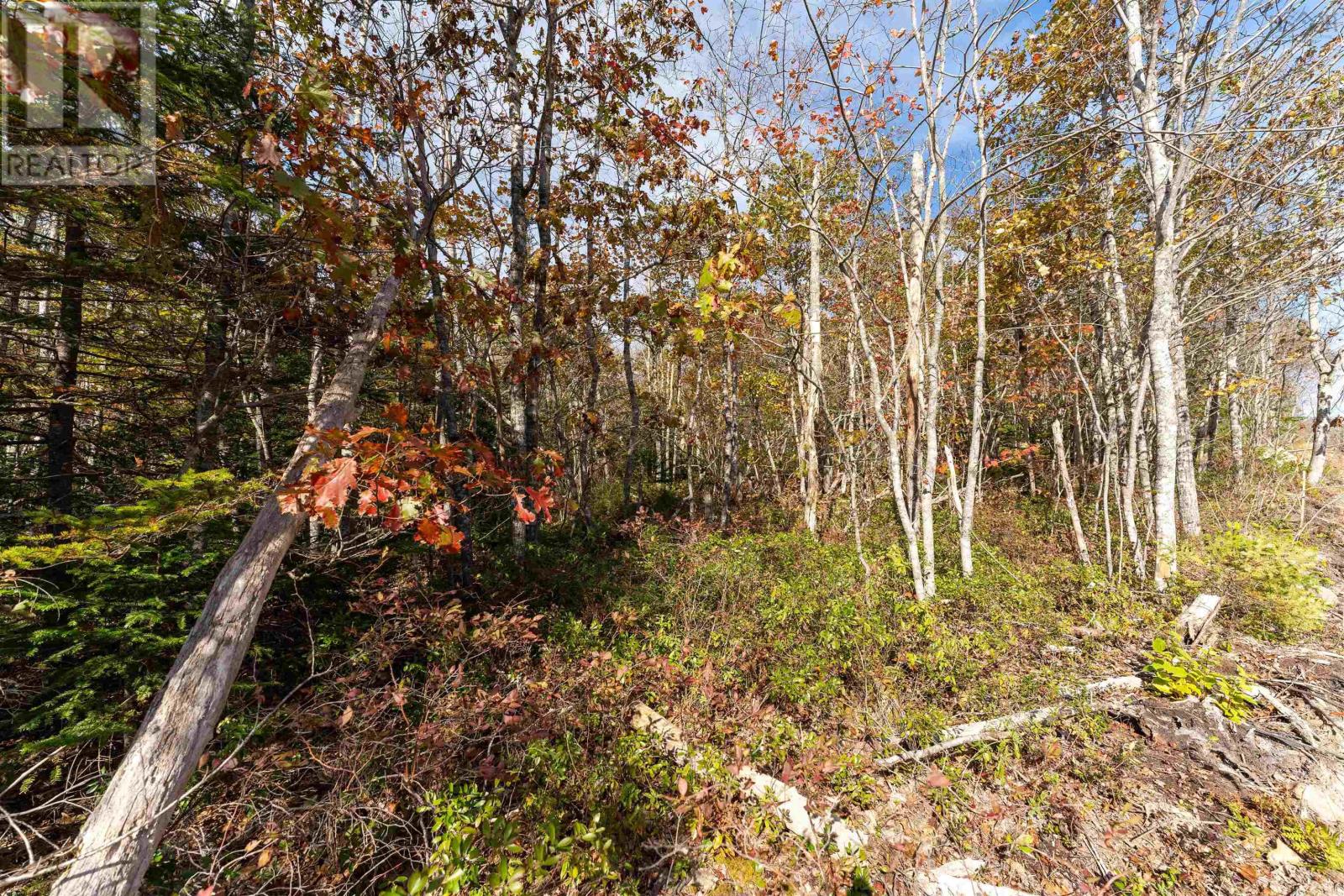 65 Morton Drive Property Photo 1