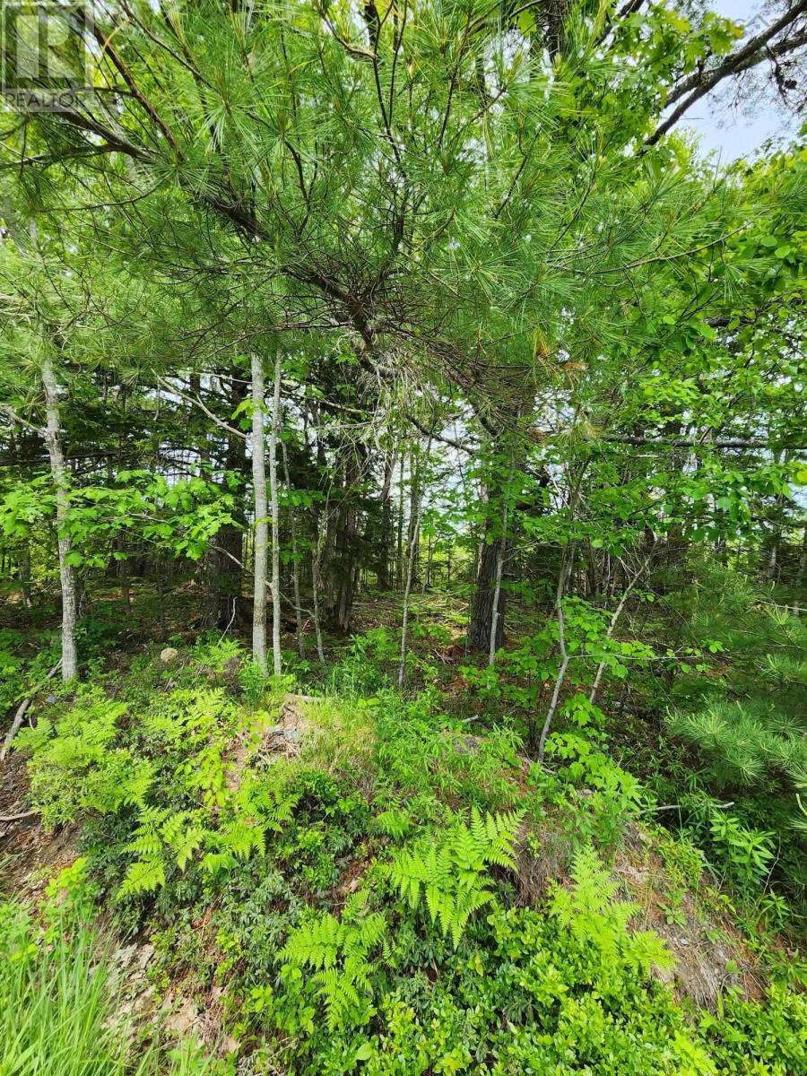 Lot 15 Charlton Road Property Photo 5