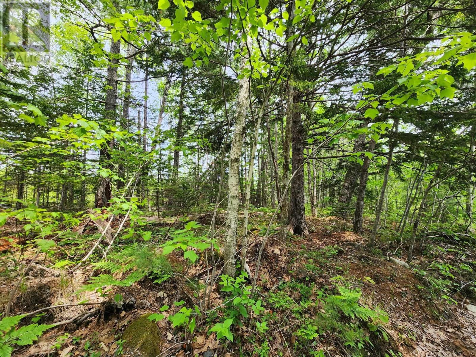 Lot 15 Charlton Road Property Photo 6