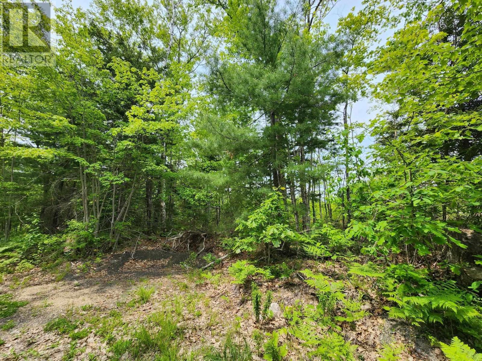 Lot 15 Charlton Road Property Photo 8
