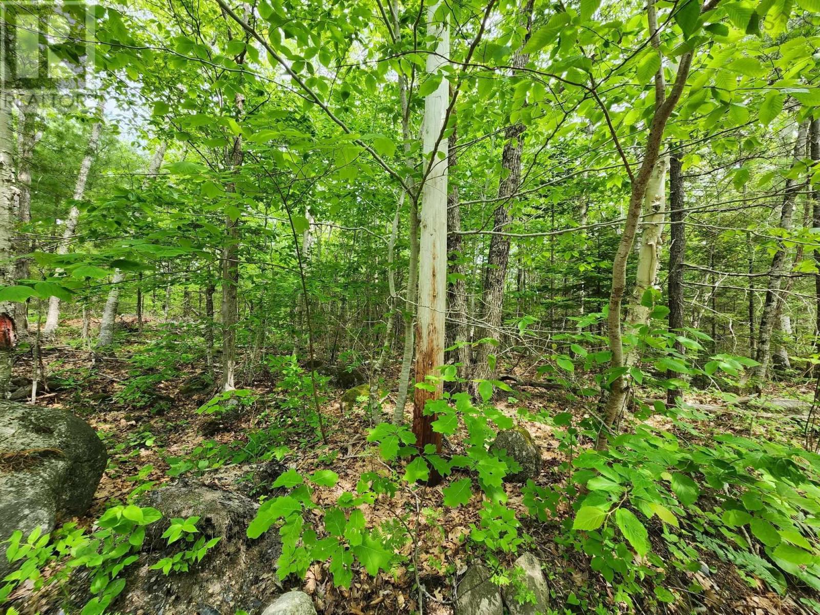 Lot 15 Charlton Road Property Photo 9