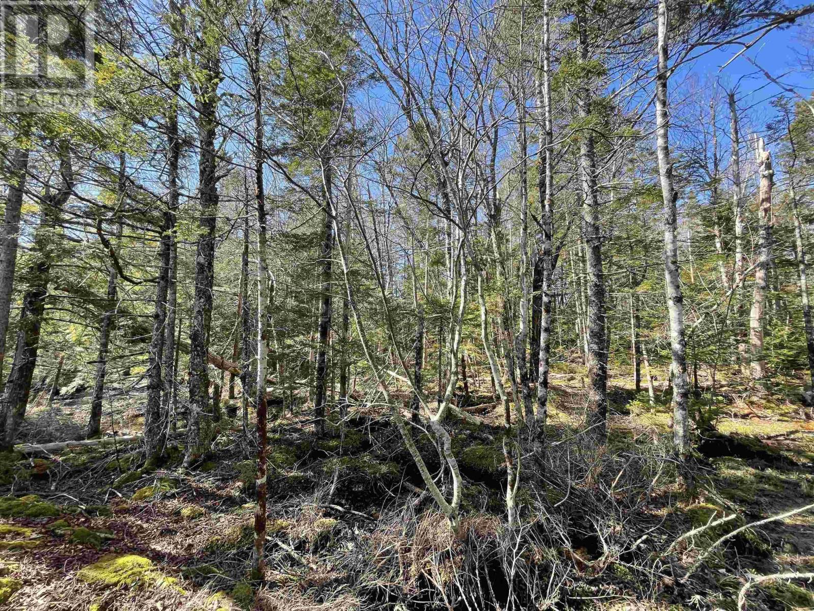 Lot 3 Lapland Road Property Photo 8