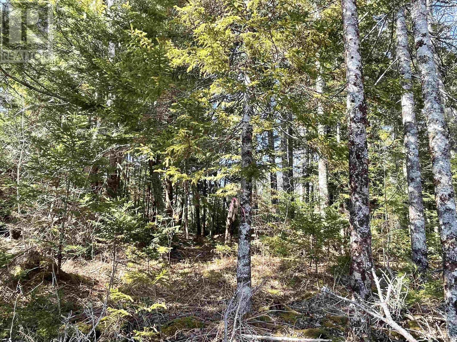 Lot 3 Lapland Road Property Photo 10