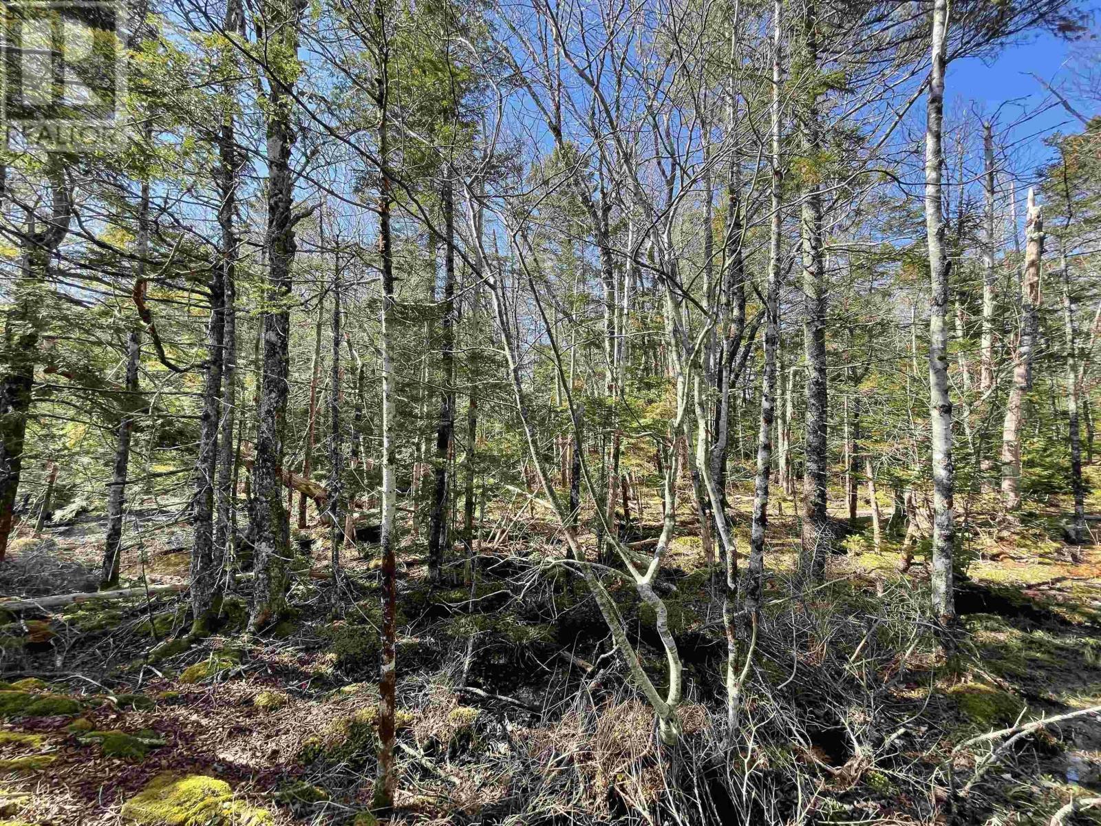 Lot 3 Lapland Road Property Photo 11