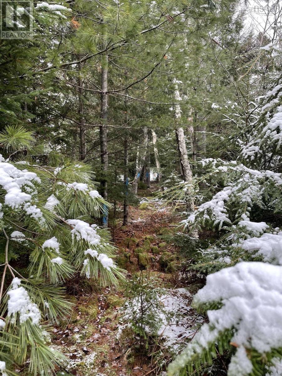 Lot 3 Lapland Road Property Photo 22