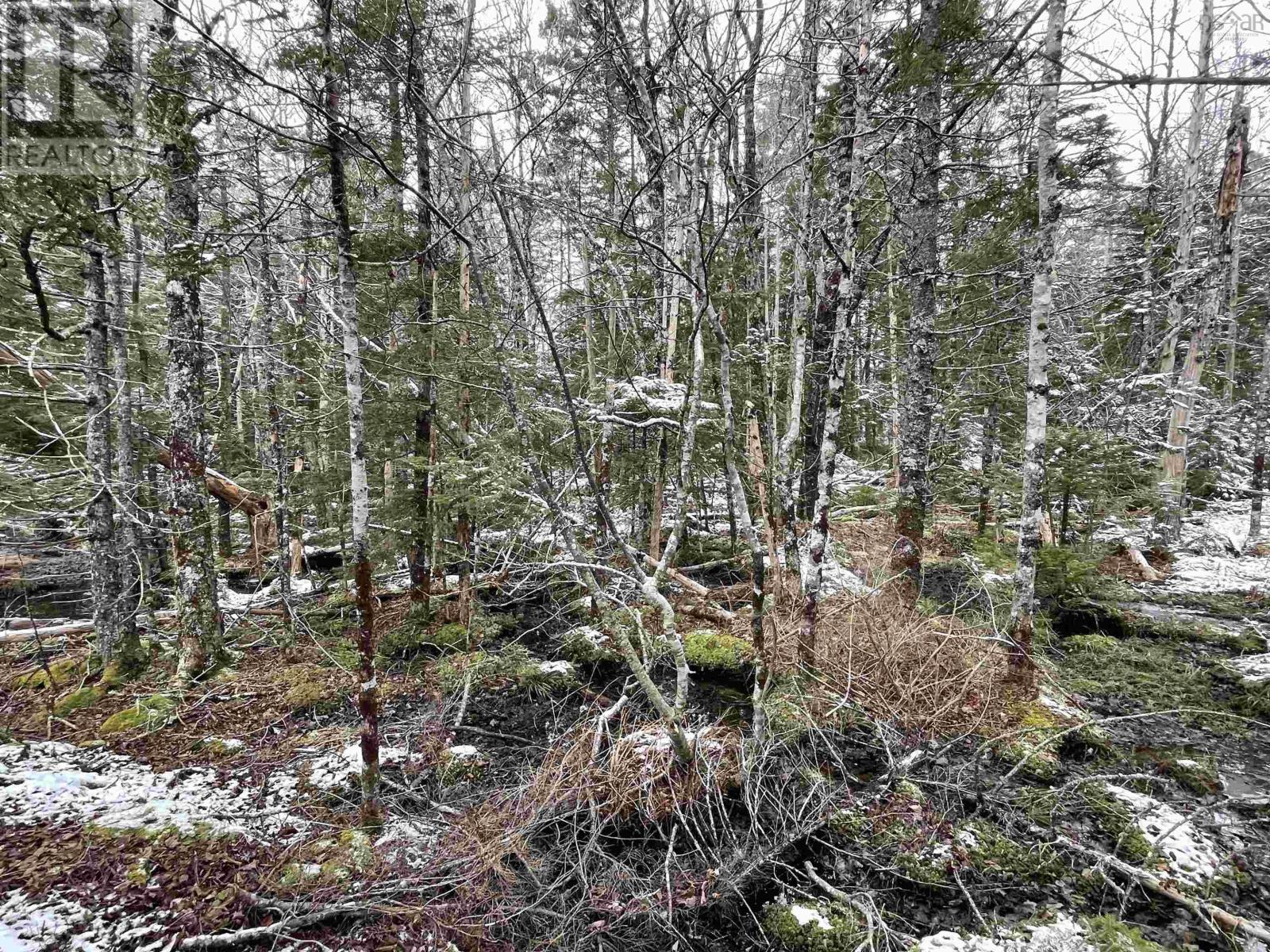 Lot 3 Lapland Road Property Photo 26