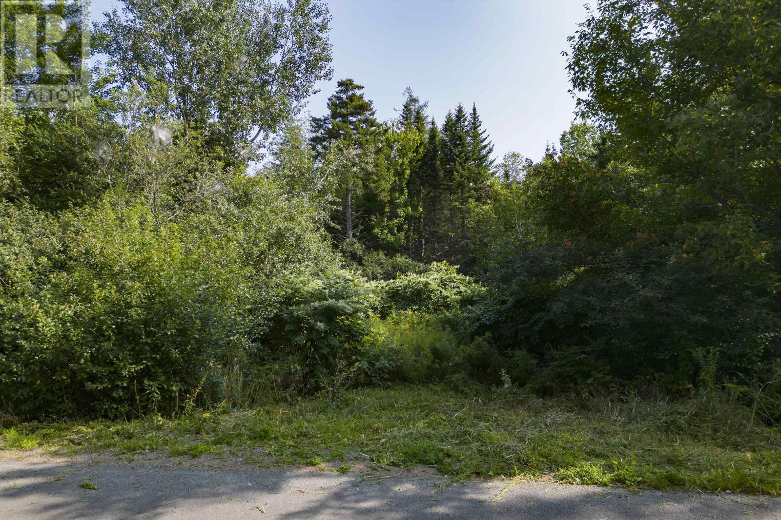 642 Mines Road Property Photo 3