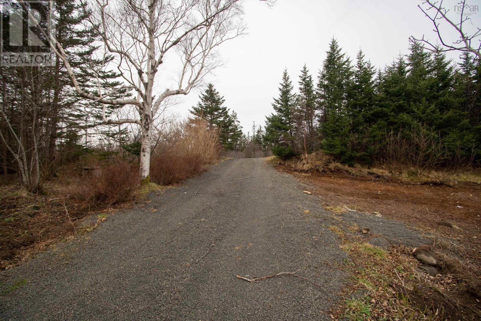 972 Highway 217 Property Photo 18