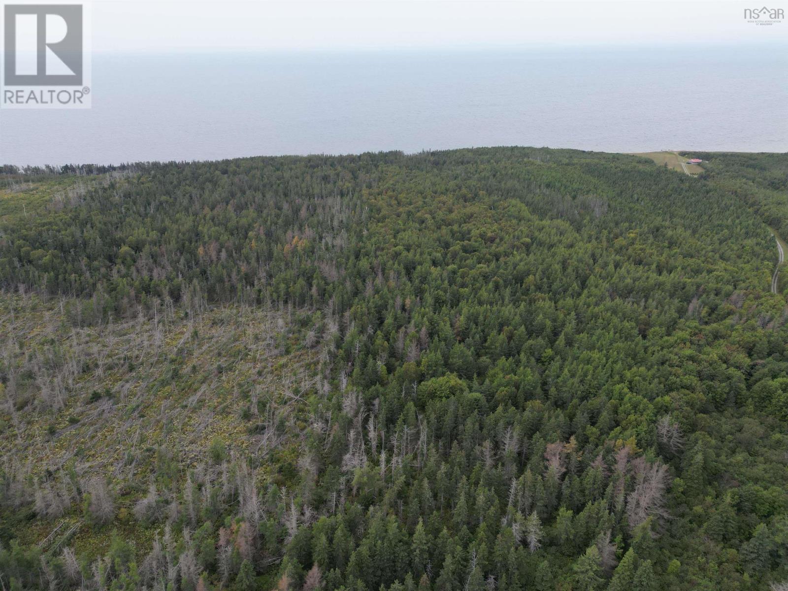 Highway 19 Property Photo 15