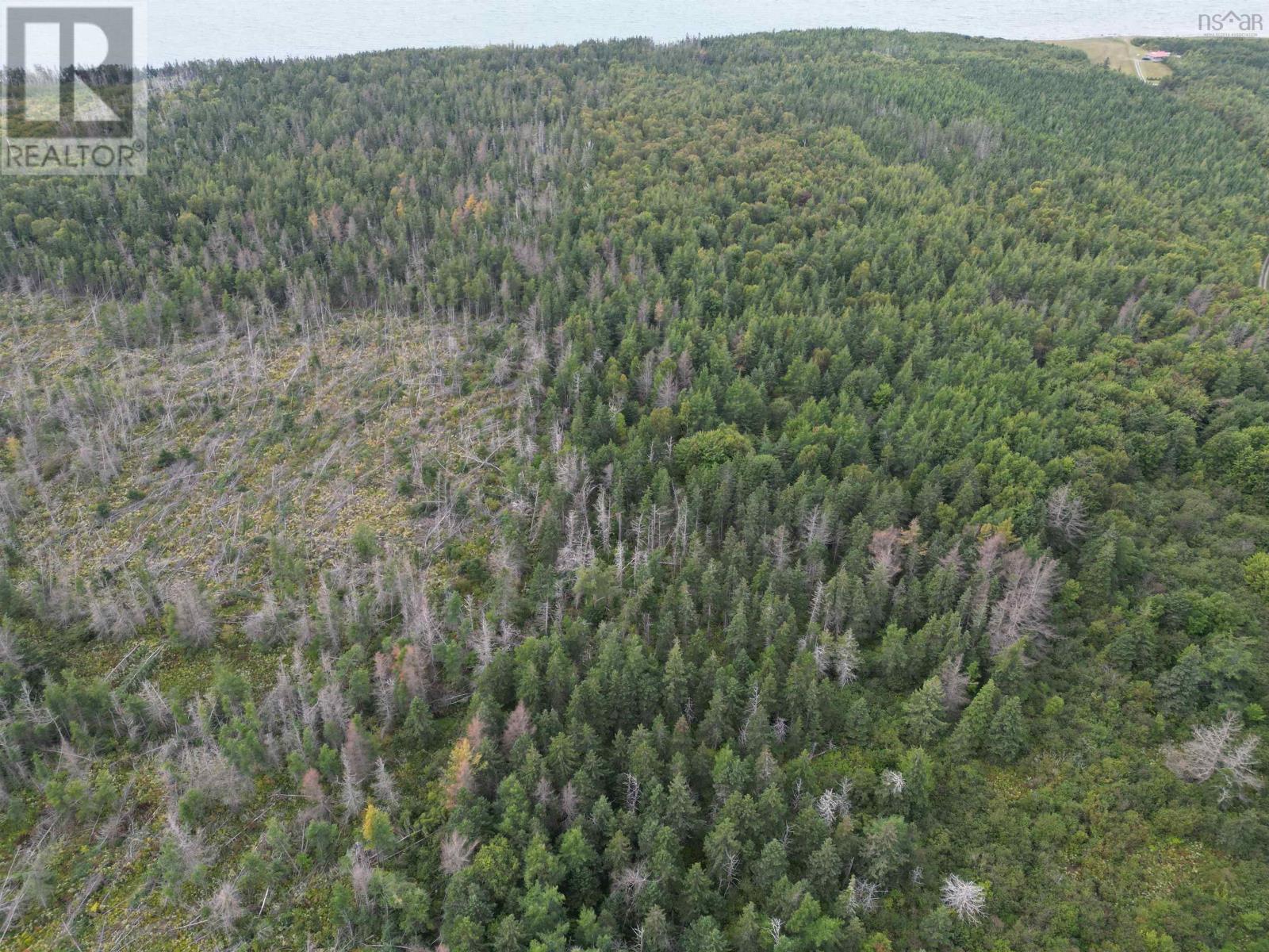 Highway 19 Property Photo 16