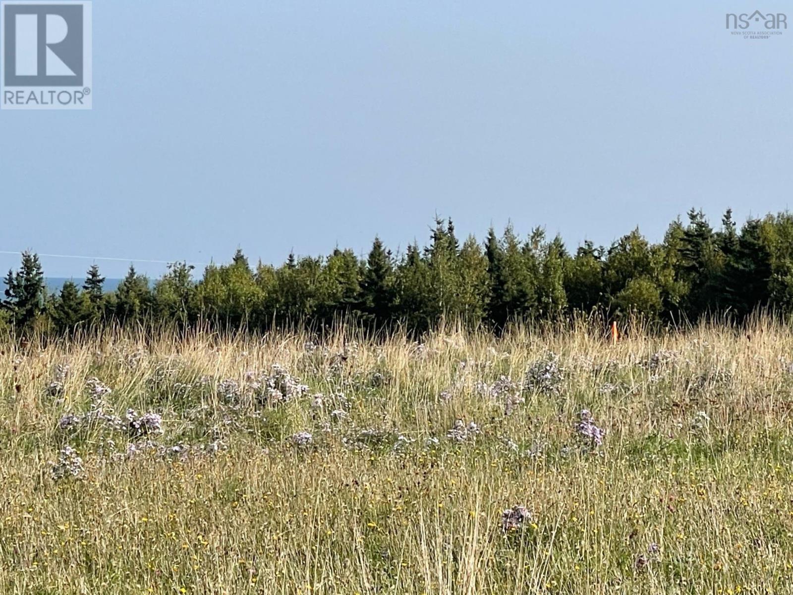 Lot 19 Pugwash Point Road Property Photo 7