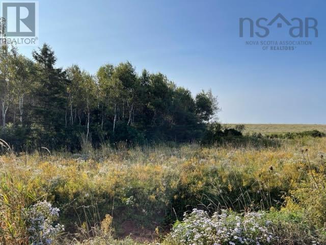 Lot 22 Pugwash Point Road Property Photo 10