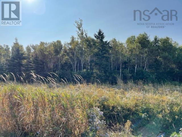 Lot 22 Pugwash Point Road Property Photo 12
